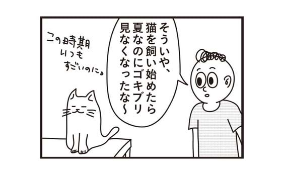 ペットあるあるマンガ④「猫と暮らすと見なくなるもの」