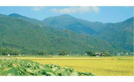 大野へかえろう　〜とある盆地の地方創生〜