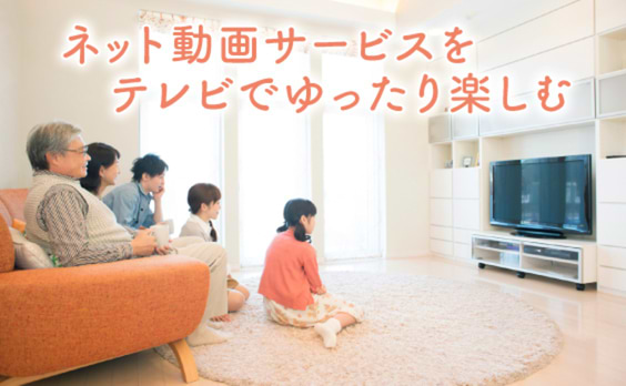 家庭のテレビ受像機でネット動画を見ていますか？