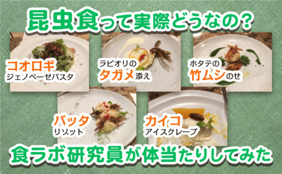 実際どうなの？未来のスーパーフード、昆虫食