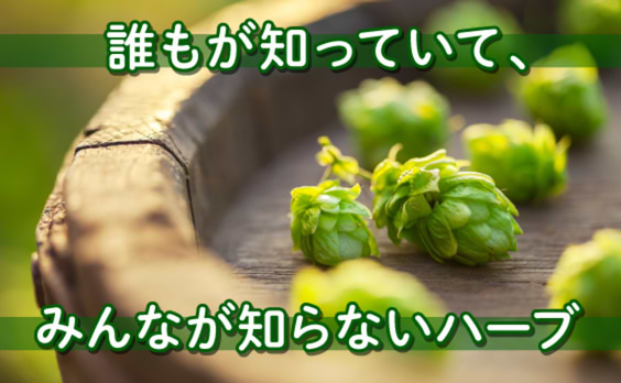 「誰もが知っていて、みんなが知らないハーブ」。キリンと電通、未踏の挑戦