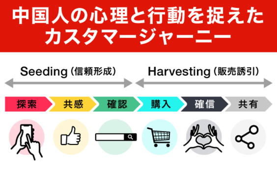 巨大市場、中国越境ECのすすめ。Douyin企業アカウントの運用術とは？