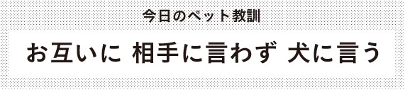 《今日のペット教訓》 お互いに　相手に言わず　犬に言う