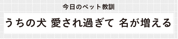 《今日のペット教訓》 うちの犬　愛されすぎて　名が増える