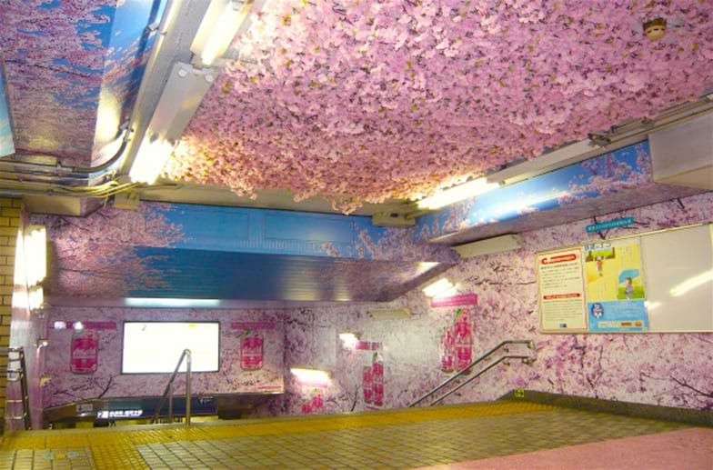 アサヒビール「東京でいち早く、桜が満開！～上野に桜の“新名所”誕生～」