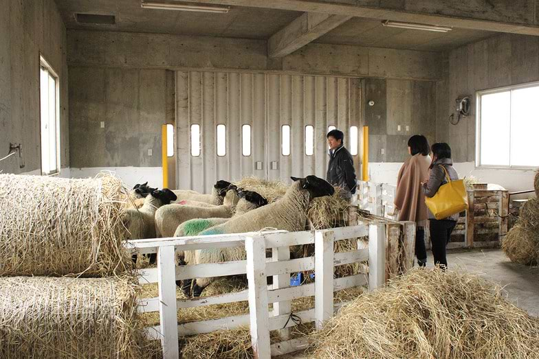 北海道遠別町の遠別農業高を視察。生徒たちが心を込めて作った加工品はふるさと納税のお礼の品になっている。