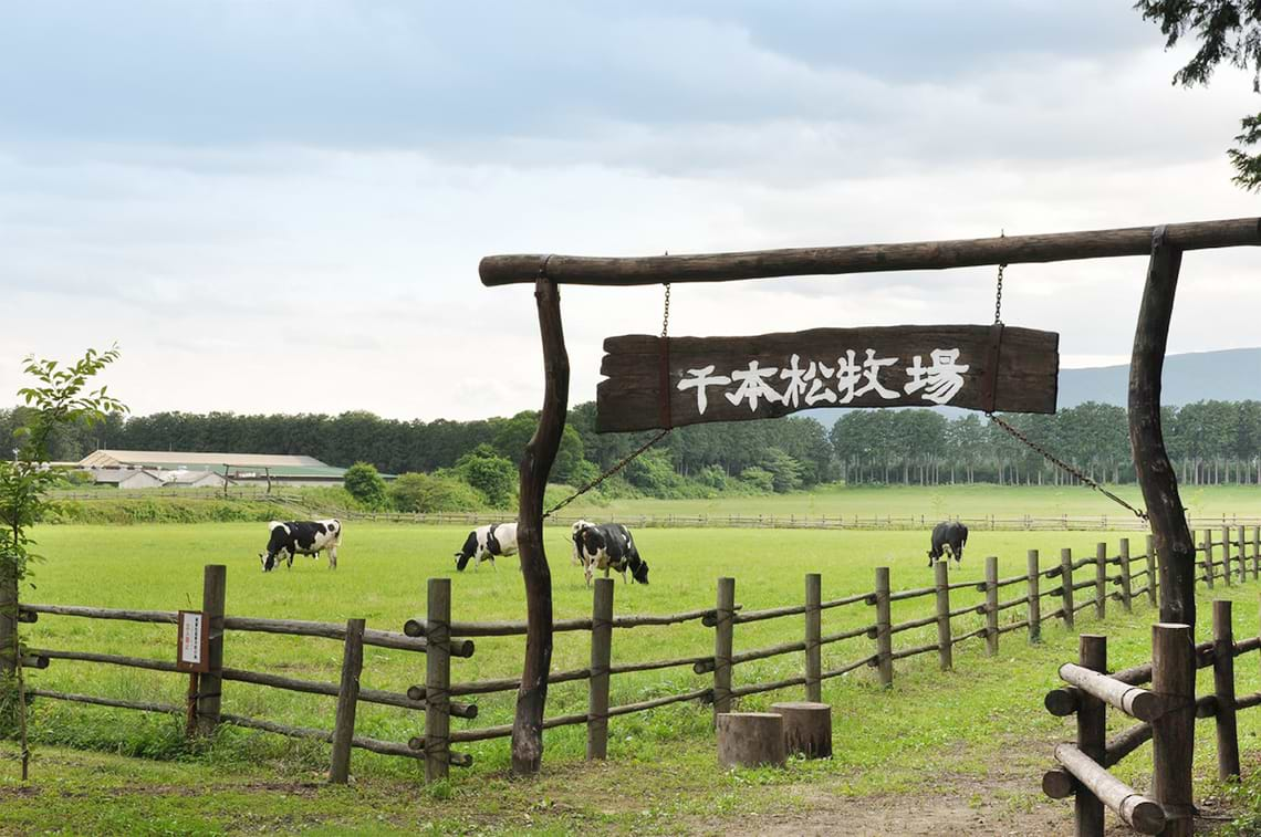 千本松牧場