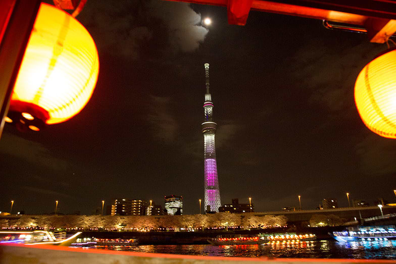 貸し切り屋形船でのお花見