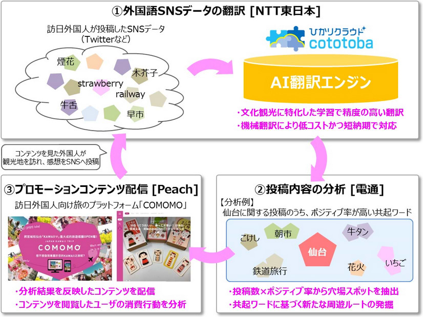 ≪トライアル概要≫