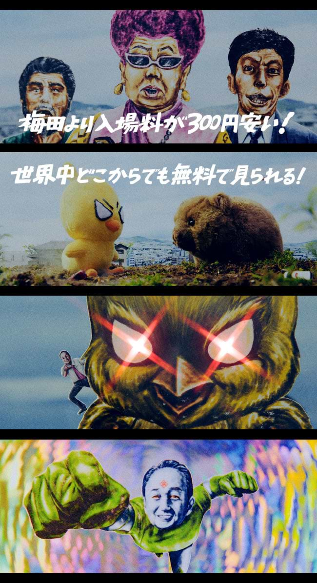 ひよこちゃんVSウォンバット