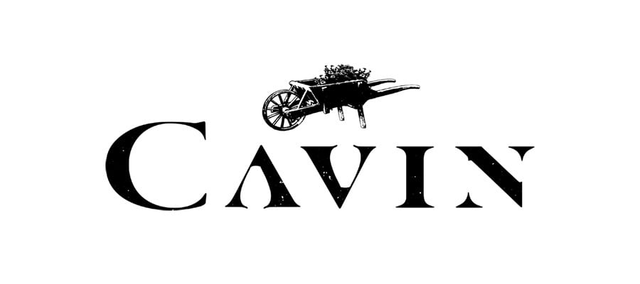 CAVIN Logo