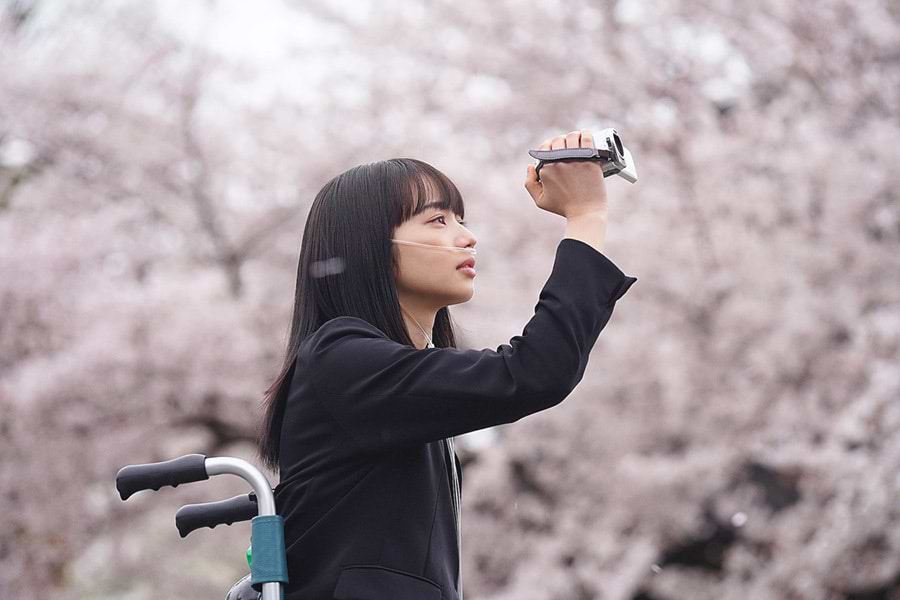 車椅子から桜を見上げるヒロイン