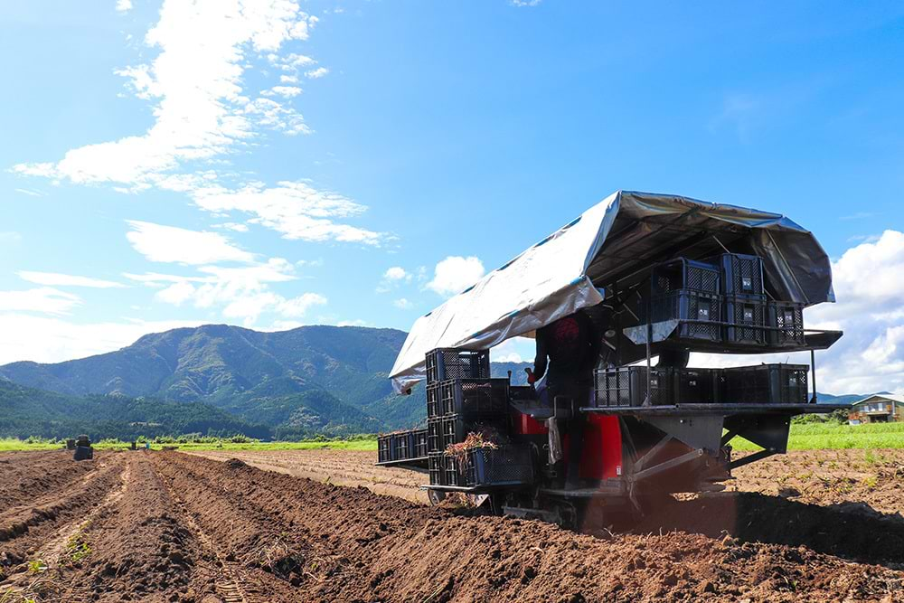 自社栽培面積47ha（東京ドーム約10 個分）、契約農家数は182軒、年間取扱量は8250トンに及ぶ。（2022年7月現在）