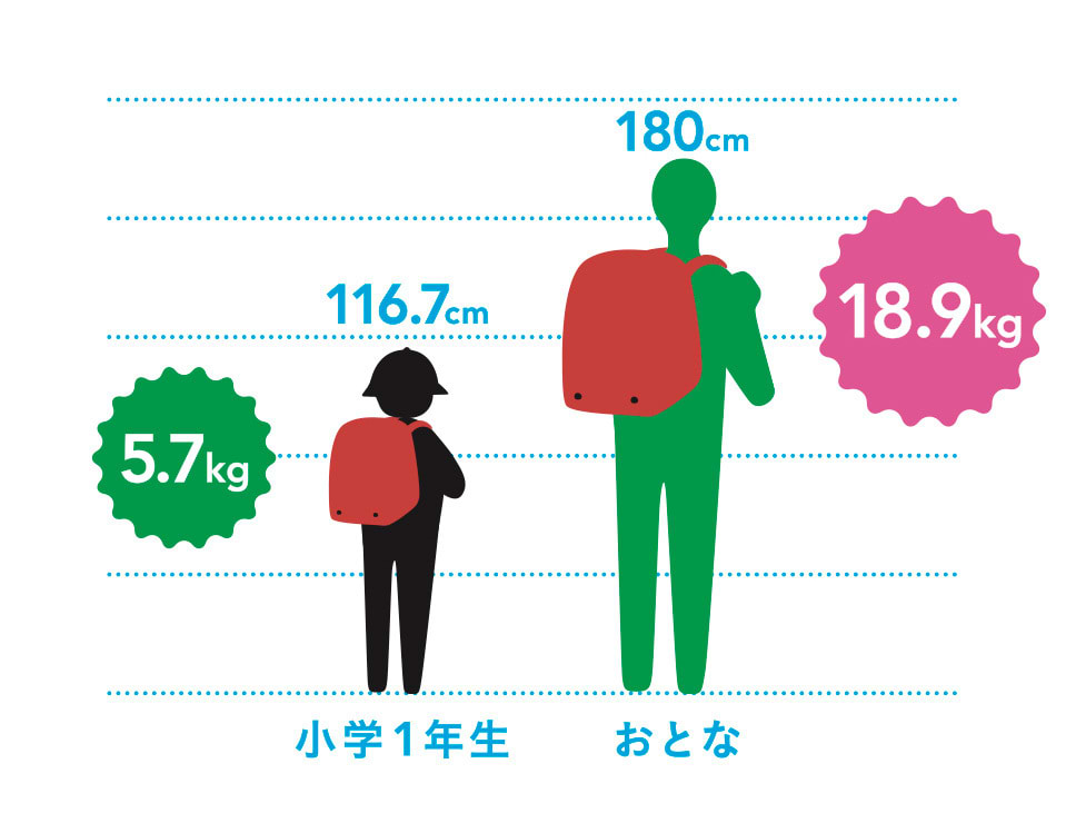 子どもと大人ランドセルの比較図