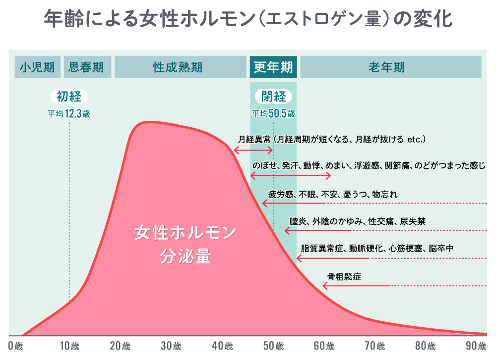 女性ホルモンの変化