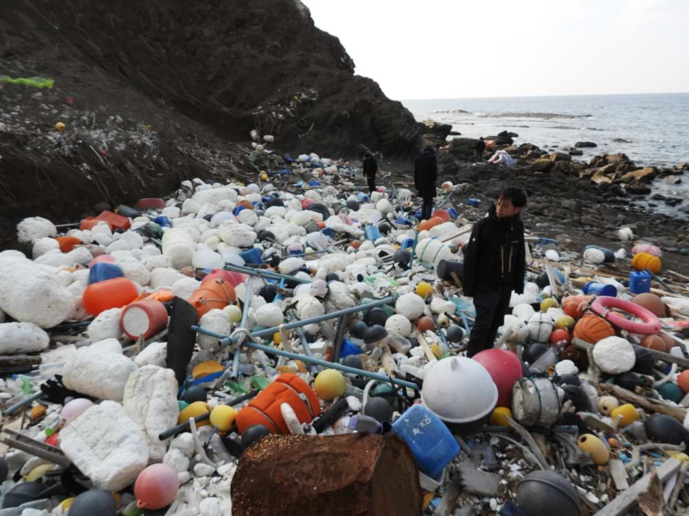 対馬の海岸