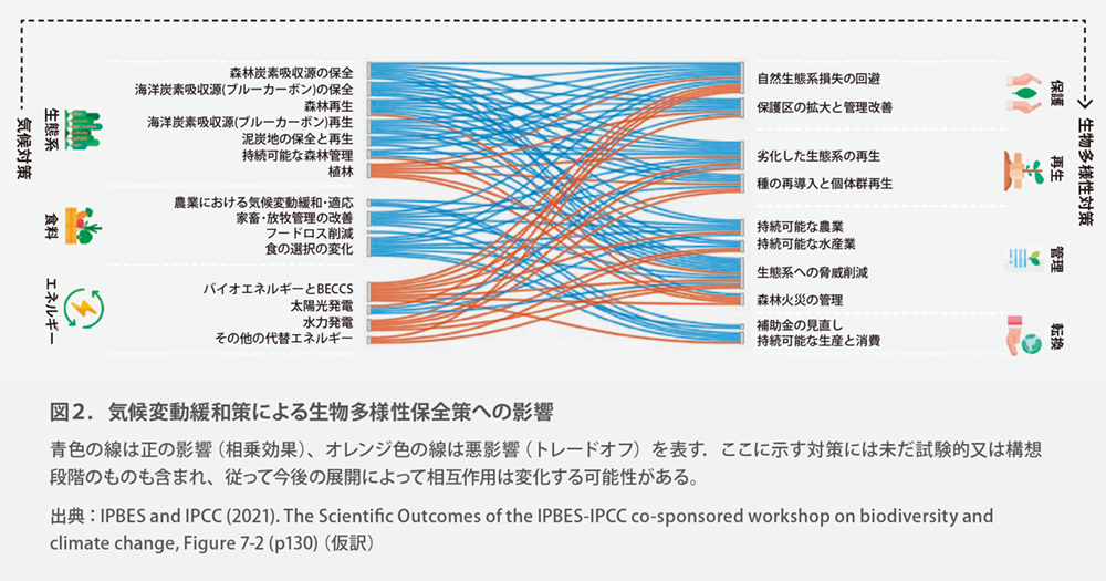 生物多様性と気候変動 IPBES-IPCC合同ワークショップ報告書（IGES） より抜粋