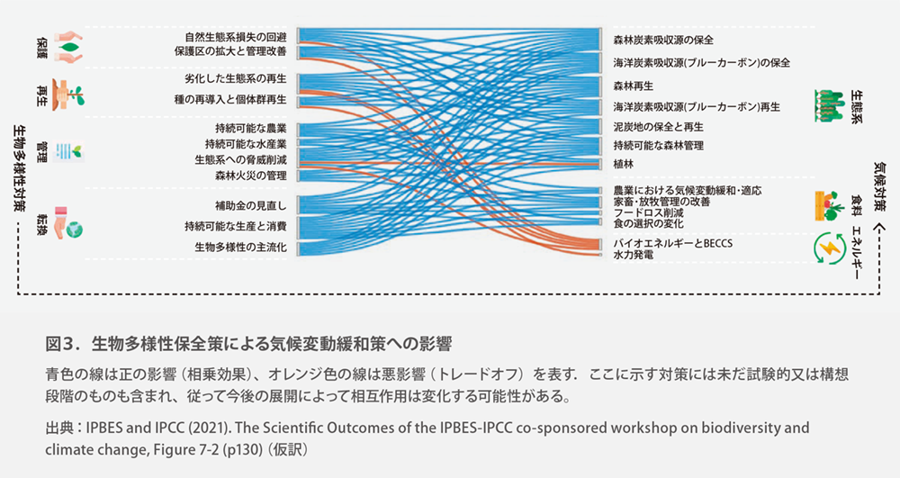 生物多様性と気候変動 IPBES-IPCC合同ワークショップ報告書（IGES） より抜粋