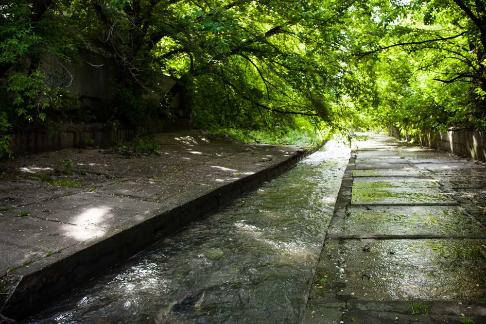 京都「哲学の道」