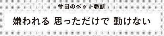 今日のペット教訓　 嫌われる 思っただけで 動けない