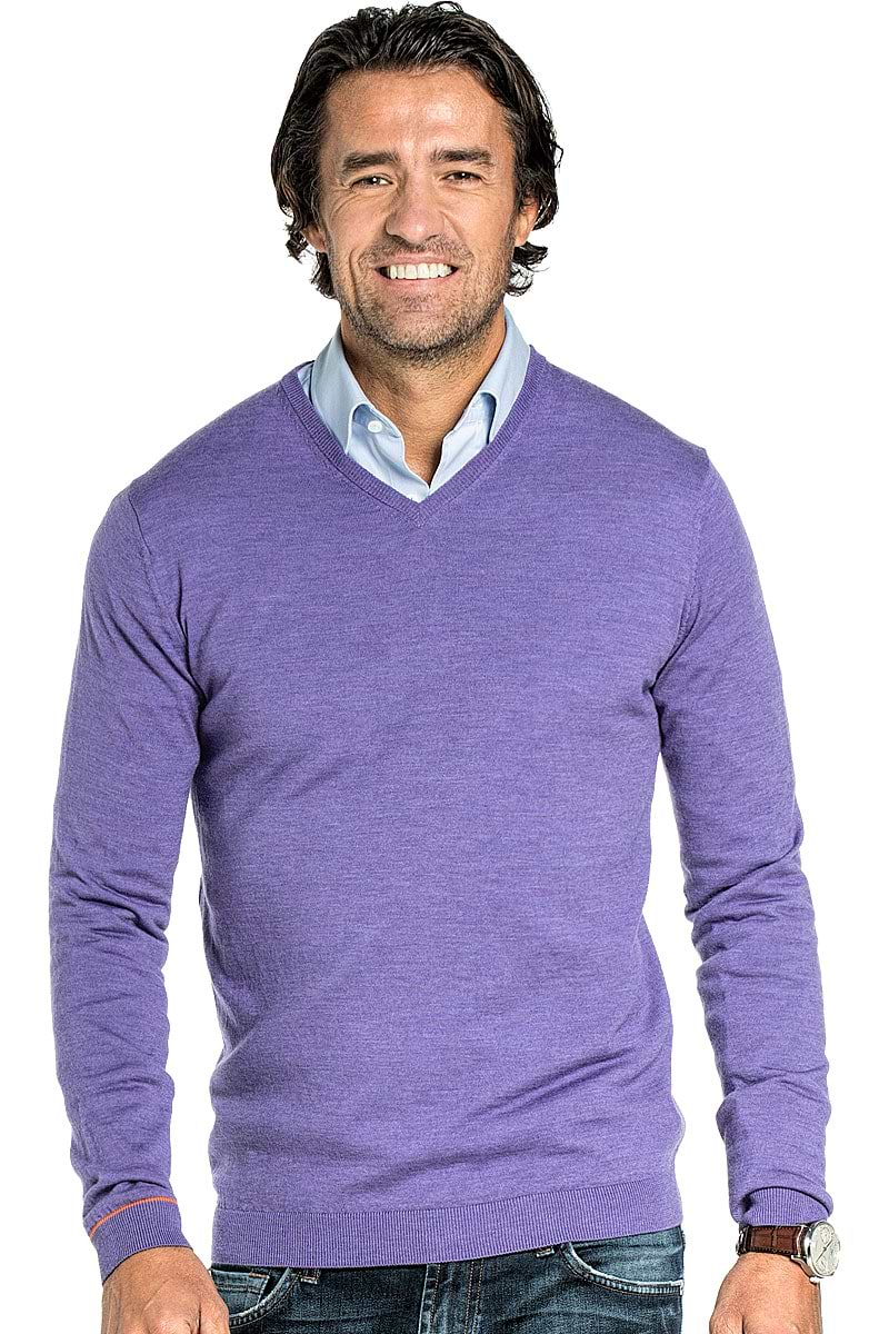 Joe V-Neck Hyacinth Purple